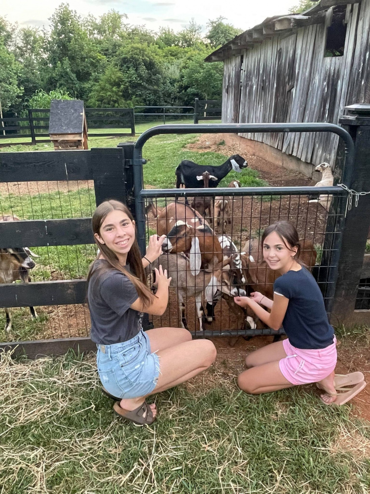 Discovering rural life at Mayhurst Estate, the home base of our Art Camp.